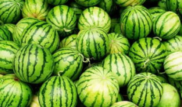 全网最火吃瓜爆料视频,揭秘最火吃瓜爆料视频背后的真相！